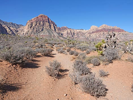 Middle Oak Creek Trail