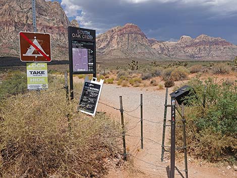 Wilson's Pimple Peak Trail