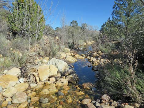 South Oak Creek Trail