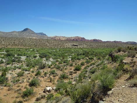 Red Rock Wash Overlook