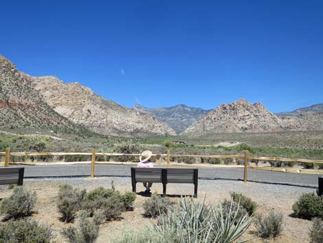 Red Rock Wash Overlook