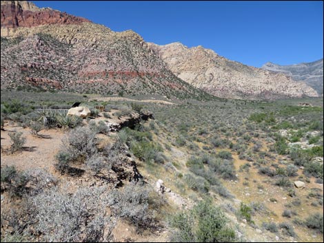 Red Rock Wash Overlook