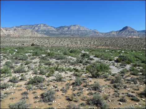 Red Rock Wash Overlook