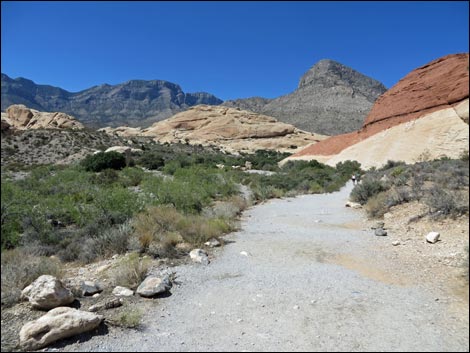 Sandstone Quarry