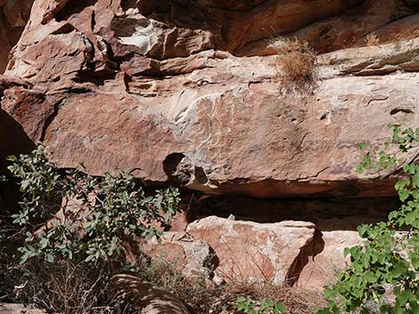 Petroglyph Wall Trail