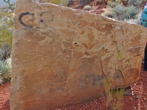 Red Rock Canyon NCA