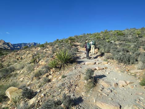 Pine Creek Canyon Trail