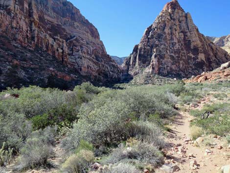 Pine Creek Trail