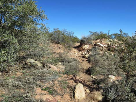 Pine Creek Trail