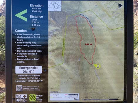 Pine Creek Loop Trail