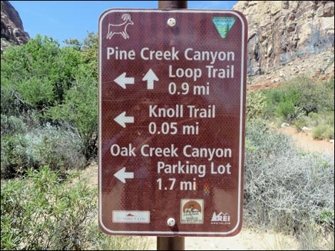 Pine Creek Trail