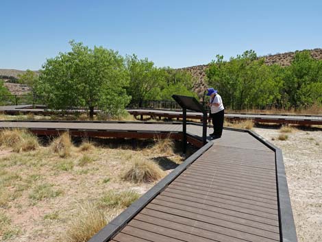 Red Spring Boardwalk Trail