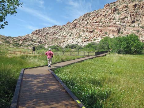 Red Spring Boardwalk