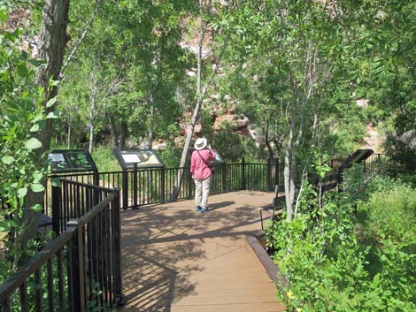 Red Spring Boardwalk