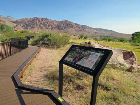 Red Spring Boardwalk Trail