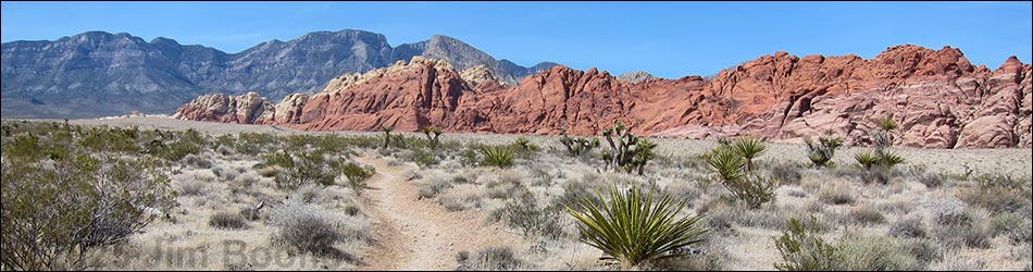 Ride Share Deluxe Loop Trail