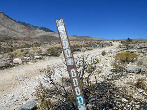 Ninetynine Mine Road