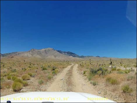 Ninetynine Mine Road