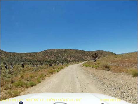 Cottonwood Valley Road