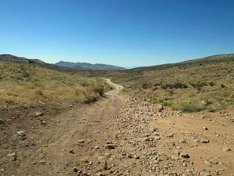 Cottonwood Valley Road