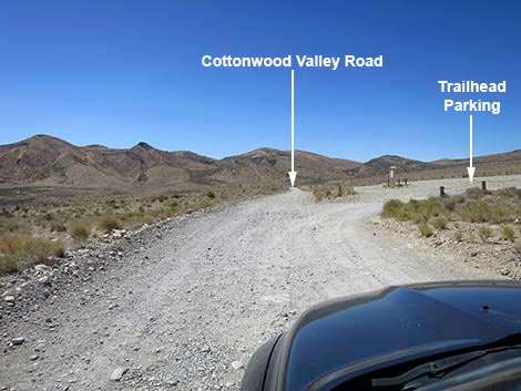 Cottonwood Valley Trailhead