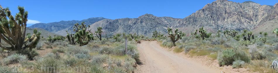 Lone Grapevine Road