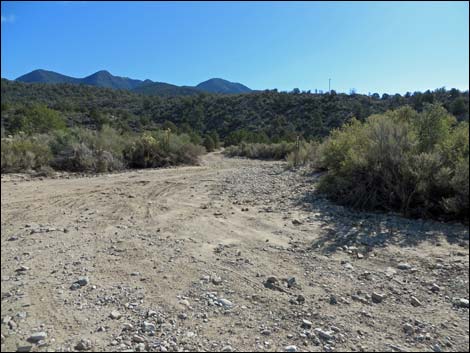 Lovell Canyon Road