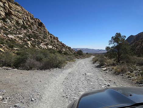 White Rock Loop Trail