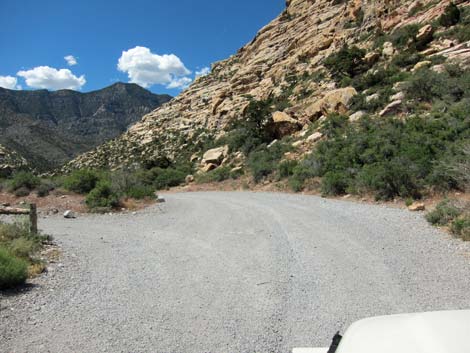 Rocky Gap Road