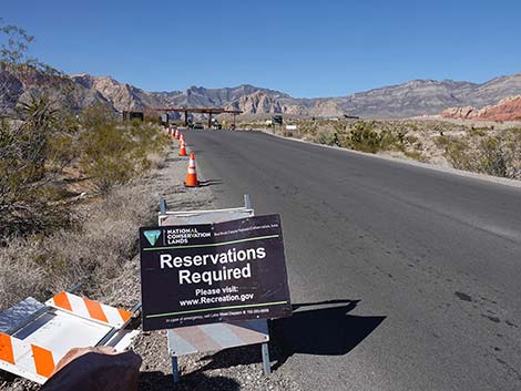 Scenic Loop Road