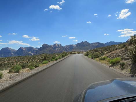 Scenic Loop Road