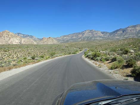 Scenic Loop Road