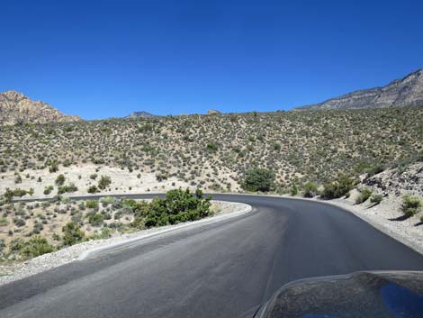 Scenic Loop Road