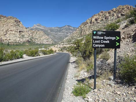 Scenic Loop Road