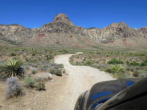 Red Rock Canyon National Conservation Area