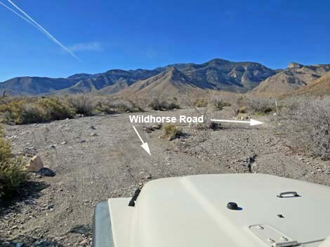 Wildhorse Road