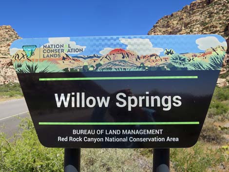 Willow Springs Road