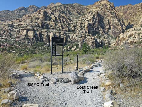 SMYC Trail