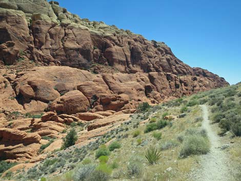 Calico Hills Trail - Sandstone Quarry to Calico 1