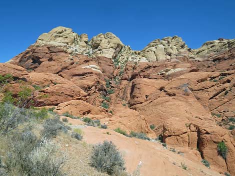 Calico Hills Trail - Sandstone Quarry to Calico 1