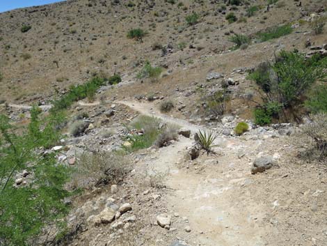 Calico Hills Trail - Sandstone Quarry to Calico 1