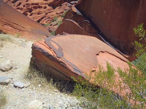 Calico Hills Trail - Sandstone Quarry to Calico 1