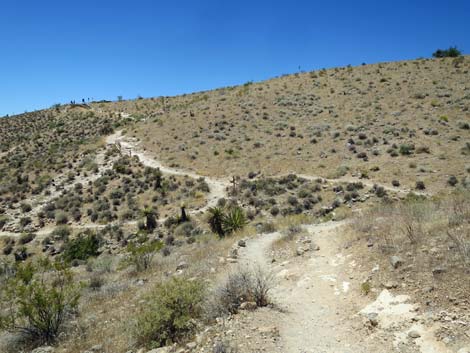 Calico Hills Trail - Sandstone Quarry to Calico 1