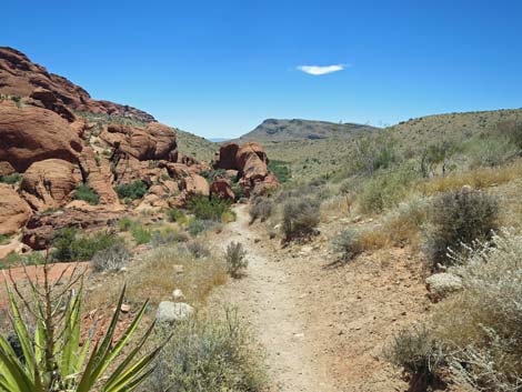 Calico Hills Trail - Sandstone Quarry to Calico 1