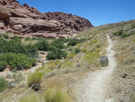 Calico Hills Trail - Sandstone Quarry to Calico 1