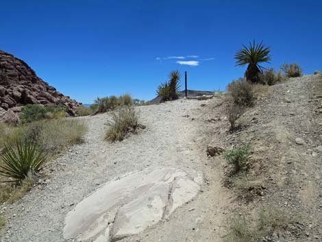 Calico Hills Trail - Sandstone Quarry to Calico 1