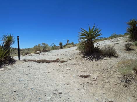 Calico Hills Trail - Sandstone Quarry to Calico 1