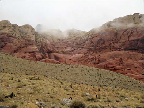 Calico Hills 2 Trailhead