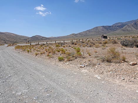 Cottonwood Valley Trailhead