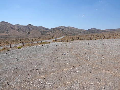 Cottonwood Valley Trailhead